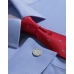 Cravata barbati Charles Tyrwhitt -matase 100 % - rosu cu crini imperiali albastri 